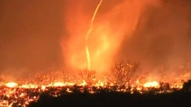 Muncul Tornado Api di Tengah Kebakaran Los Angeles, Apa Itu?