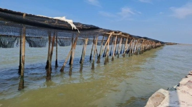 Pemda Diminta Lebih Aktif Atasi Persoalan Pagar Laut di Perairan Tangerang