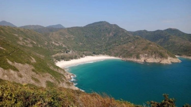 Sai Kung Wajah Lain Hong Kong, Tak Ada Gedung Pencakar Langit, Kerbau Pun Berkeliaran di Jalan