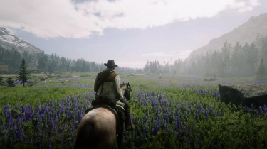 Panduan untuk Pemain, Rahasia Mendapatkan Uang Cepat di Red Dead Redemption 2