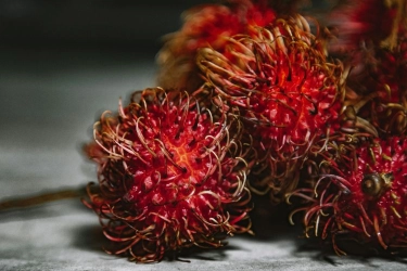 Buah Rambutan Bermanfaat untuk Apa? Berikut 10 Daftarnya…