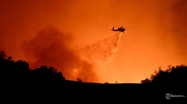 Pemulihan Pascakebakaran Hutan di California akan Menelan Biaya Puluhan Miliar Dolar, Kata Joe Biden