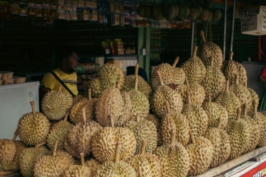 [POPULER MONEY] Nilai Ekspor Durian RI Rp 29,4 Miliar, tapi Nilai Impor Rp 58,9 Miliar | Menko Airlangga Tegaskan Pagar Laut Tangerang Bukan Bagian PSN