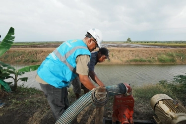 Program Electrifying Agriculture PLN: Bantu Petani Hemat Biaya dan Tingkatkan Produksi