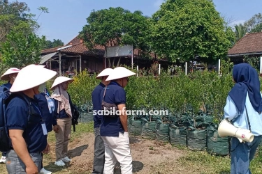 Rute Menuju Sabila Farm dari Pusat Kota Jogja