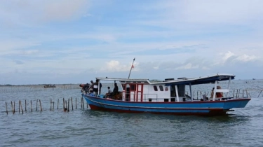 AGRA: Pembongkaran Pagar Laut Hanya Gimik Semata