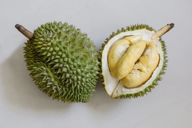 Apa Khasiat Makan Durian? Berikut 8 Daftarnya…