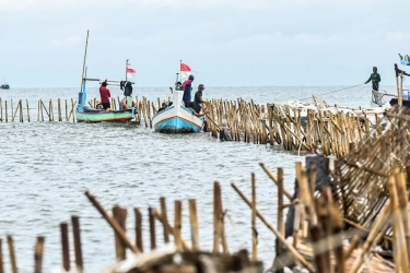 Area Pagar Laut di Tangerang Punya HGB, Menteri KKP: Di Dasar Laut Tidak Boleh Ada Sertifikat!