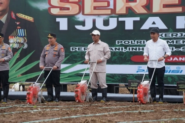 Pemerintah Siapkan Lahan 1 Juta Hektar Lahan untuk Tanam Jagung di 19 Provinsi