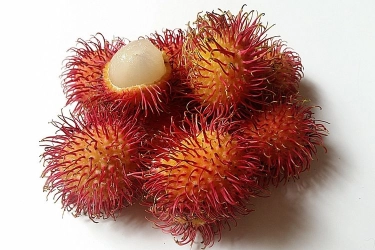 Apakah Rambutan Baik untuk Kesehatan? Berikut Penjelasannya…