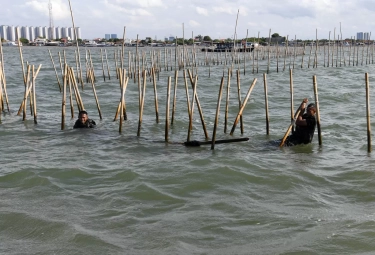 Menteri KP Sakti Wahyu Trenggono Sebut Tidak Mudah Mencari Tahu Siapa Pemilik Pagar Laut di Tangerang