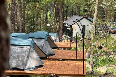 Jolotundo Glamping & Edu Park Nganjuk: Harga Tiket, Jam Buka, dan Lokasi