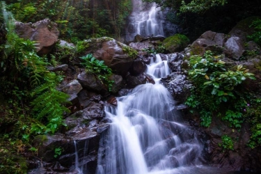 Curug Cilember Bogor: Harga Tiket, Jam Buka, dan Lokasi 2025