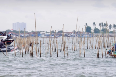 Otak di Balik Pagar Laut Semakin Terdesak...