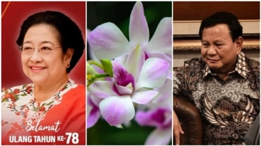 Indahnya Filosofi Bunga Anggrek, Kado dari Prabowo untuk Ulang Tahun Megawati