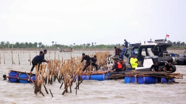 Penampakan Bambu Pagar Laut yang Dibongkar Jadi Sorotan Publik: Balikin ke Aguan!