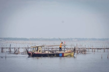 Ahmed Zaki Sebut Pagar Laut di Tangerang Sudah Ada sejak 2014, Nelayan Sukawali Tak Persoalkan Pagar Laut