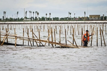 Eks Menteri dan Wamen ATR Kompak Tak Tahu, Siapa Terbitkan Sertifikat Pagar Laut Tangerang?