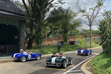 Selain Taman Safari Bogor, Ini 5 Tempat Wisata di Jalur Puncak Bogor