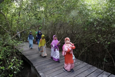 Libur Imlek di Surabaya? Kebun Raya Mangrove Siapkan Atraksi Seru dan Spot Foto Instagramable!