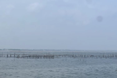 Kamis, MAKI Adukan Dugaan Korupsi Terkait Penerbitan HGB Pagar Laut ke Kejagung