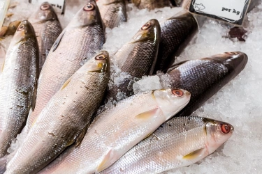 Mengintip Kandungan Gizi Ikan Bandeng yang Disajikan Saat Imlek