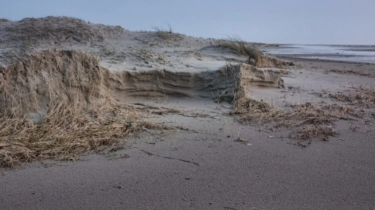 Garis Pantai Tangerang Makin Terkikis, Pemerintah Diminta Segera Bangun Giant Sea Wall