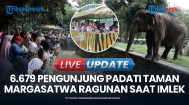 VIDEO Libur Imlek 2025, Taman Margasatwa Ragunan Dikunjungi Ribuan Pengunjung