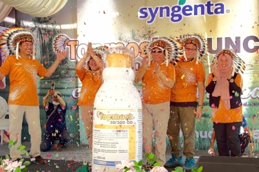 Ini Upaya Syngenta untuk Mendukung Ketahanan Pangan Indonesia