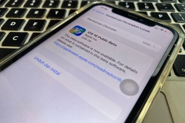Mengapa Software yang Masih dalam Pengembangan Dinamai “Beta”?