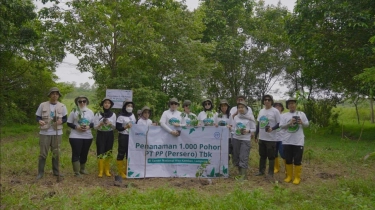 Emiten PTPP Fokus Jalankan SDGs Lewat Tanam 1.000 Pohon di Way Kambas