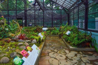 Ada Taman Apa Saja di Kebun Raya Bogor?