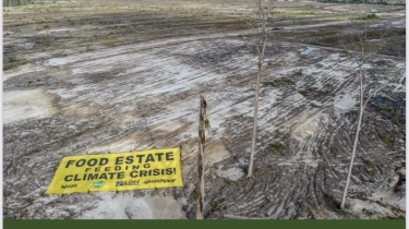 Pakar Gambut UGM Sebut Proyek Food Estate di Merauke Berisiko Ganggu Ekosistem Lahan