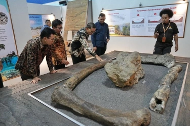 Museum Sangiran, Lorong Waktu Jejak Peradaban Nenek Moyang Bangsa Indonesia