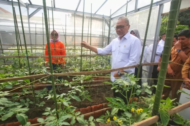 Menko Zulhas Dukung Urban Farming di Surabaya sebagai Contoh Ketahanan Pangan Nasional