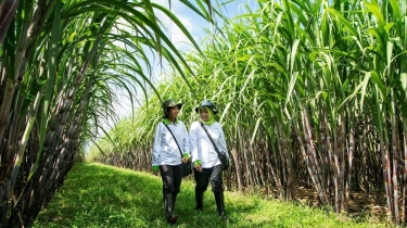 Anak Usaha PTPN III Produksi 2,46 Juta Ton Gula di 2024