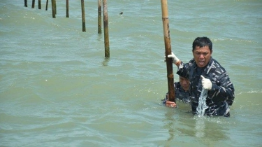 Menilik Peluang Ekonomi di Tengah Polemik Pagar Laut Pesisir Utara Tangerang