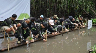 Upaya Menjaga Ekosistem Pesisir Lewat Rehabilitasi Hutan Mangrove