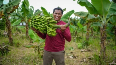 Berkat Hibah Program YESS, Pemuda Asal Subang Ini Sukese Bangun Agrowisata Cerdas