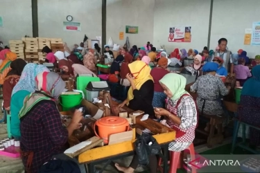 Indef: Kebijakan IHT yang Seimbang Bantu Pencapaian Target Pertumbuhan Ekonomi 8 Persen