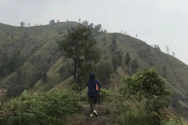 Mendaki di Bukit Trunyan Bali, Cocok untuk Pendaki Pemula