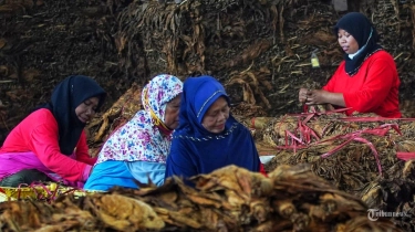 Berperan Mewujudkan Pertumbuhan Ekonomi 8 Persen, AMTI: IHT Serap Tenaga Kerja