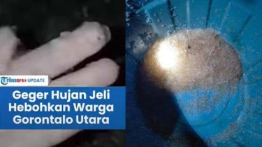 Kesaksian Warga Tentang Hujan Jelly di Gorontalo yang Viral, Dikira Es Batu Tapi Terlihat Lembek