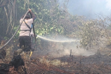 Polri dan Kemenhut Teken Kerja Sama untuk Tindak Pembakar Hutan