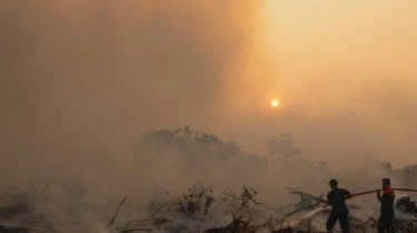 Proyek Percontohan UNEP Dukung Masyarakat Rentan dalam Memerangi Kebakaran Hutan