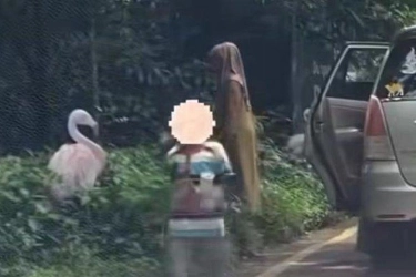 Viral Pengunjung Taman Safari Keluar dari Mobil, Mengapa Banyak Orang Sulit Patuh Aturan?