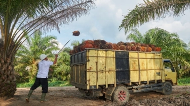 PTPN IV PalmCo dan Unilever Perkuat Integrasi Rantai Pasok Sawit Berkelanjutan