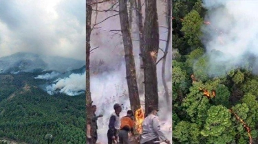 Lemkapi Harap Kerja Sama Polri dan Kemenhut Bisa Berantas Pelaku Perusak Hutan