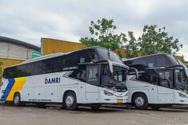 Promo Tiket Damri Berlaku Sebulan, ke Bandara Soekarno-Hatta Rp 60.000