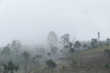 Gunung Artapela Kabupaten Bandung: Harga Tiket, Jam Buka, dan Lokasi